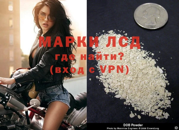 spice Аркадак